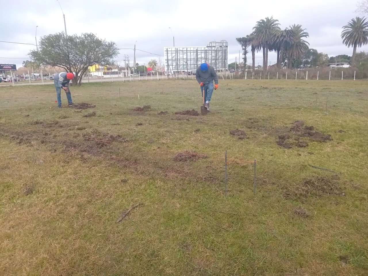 Replanteo y marcado de la platea en el terreno