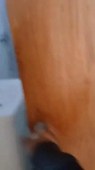 Video: el baño completo de una vivienda habitada, con ducha y vanitory